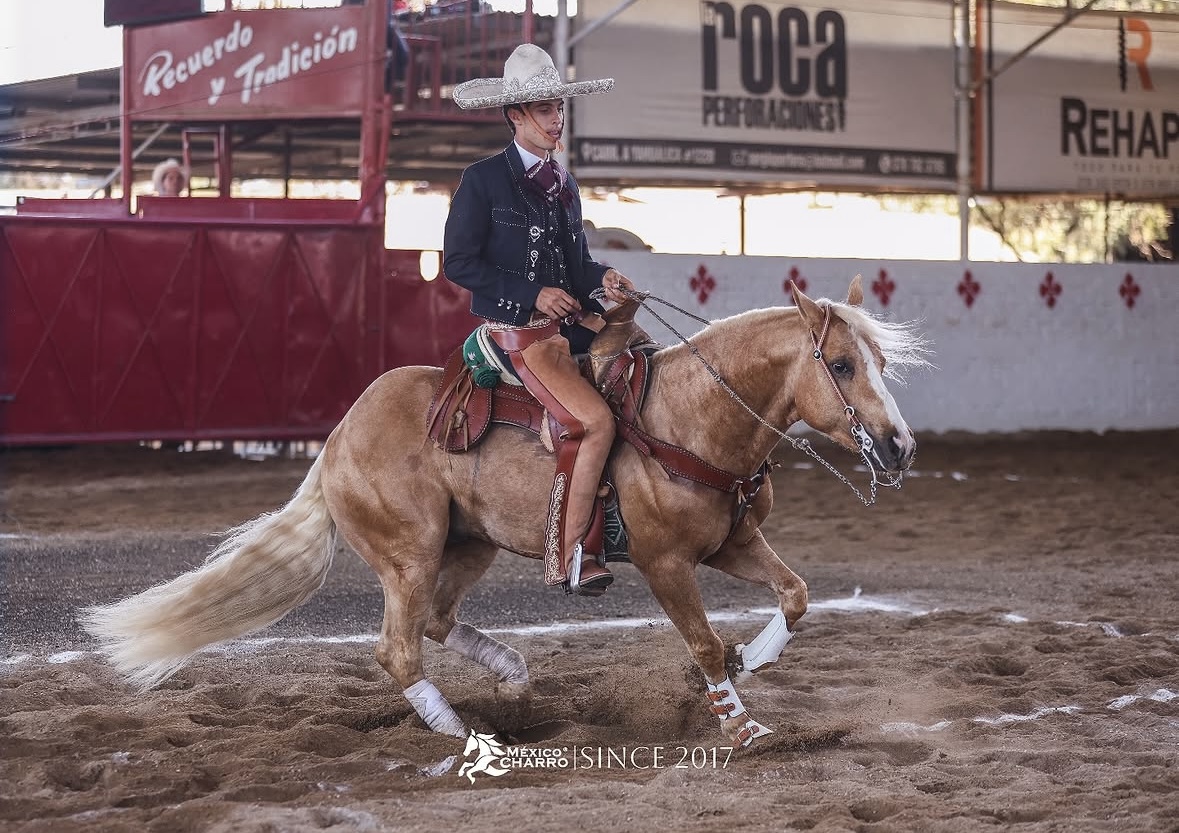 Charro ejecutando una maniobra de rienda con un caballo palomino en competencia