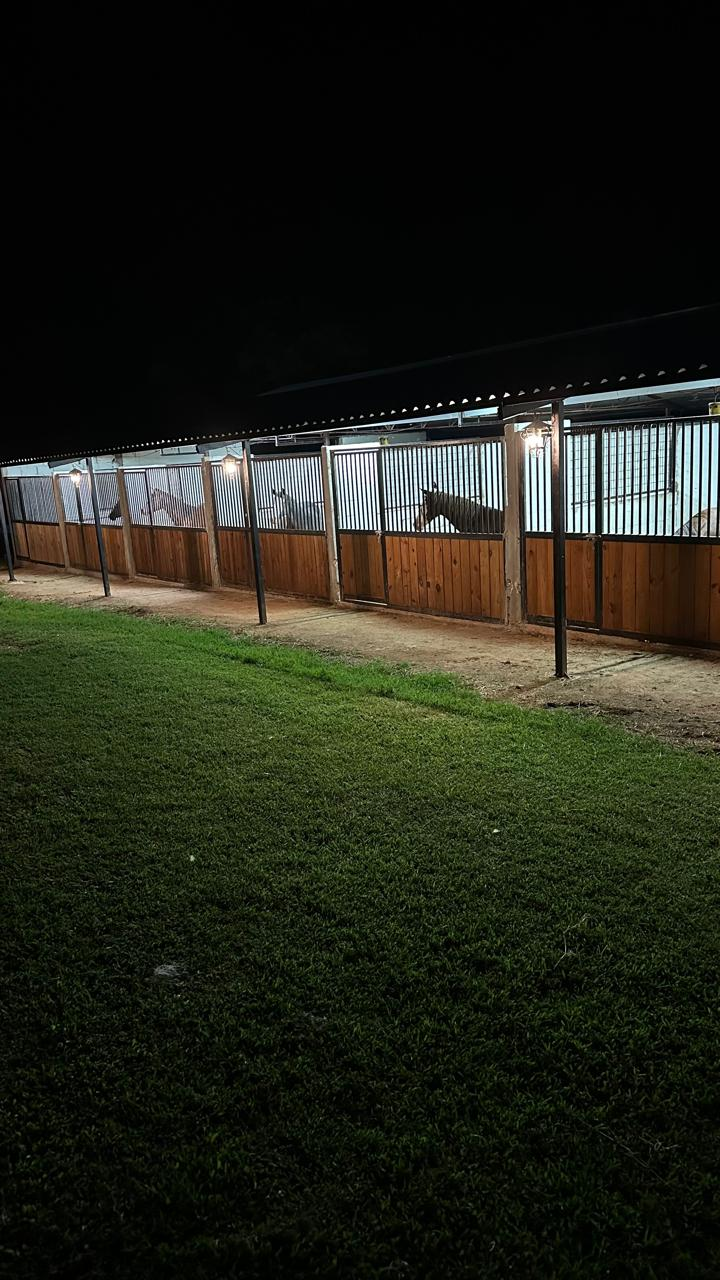 Caballerizas iluminadas durante la noche